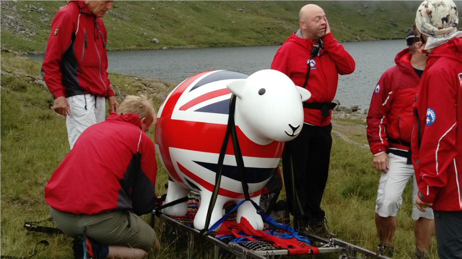 Herdy on Rescue Training