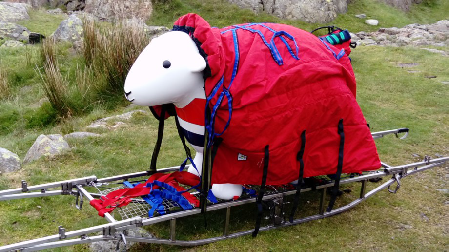 Herdy on Rescue Training
